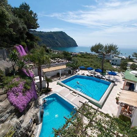 比安卡别墅酒店 Forio di Ischia 外观 照片