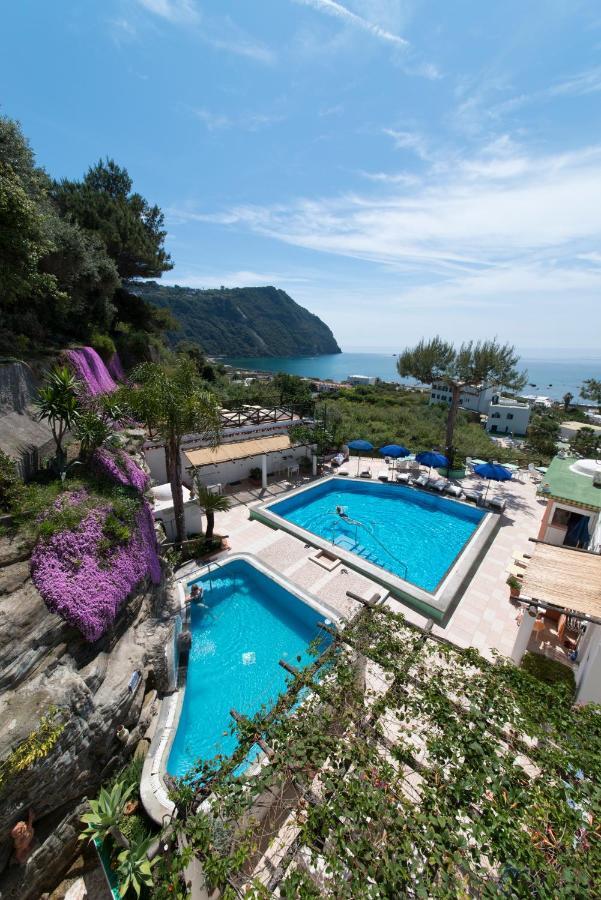 比安卡别墅酒店 Forio di Ischia 外观 照片
